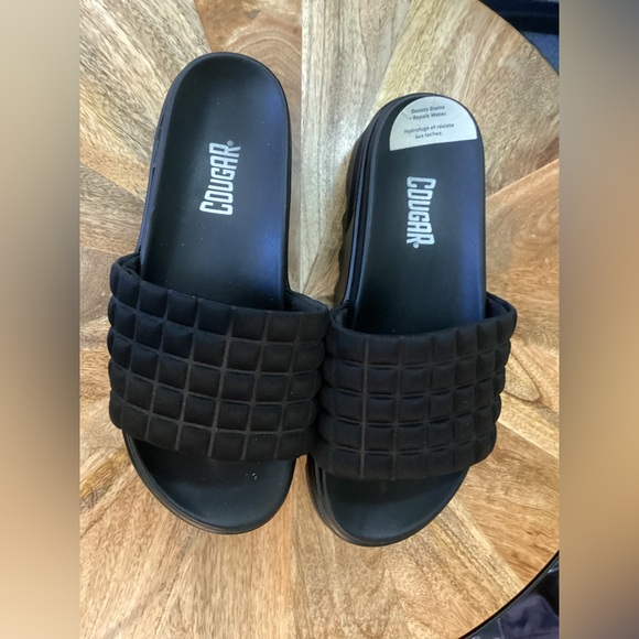 Cougar Slides - Picture 2 of 2